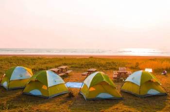 Most affordable camping in Alibag!