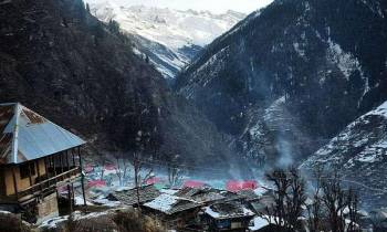 Kasauli Tour Package