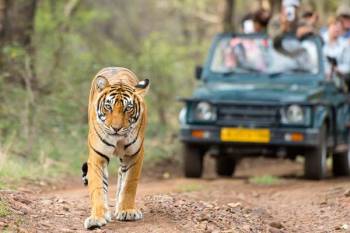 Golden Triangle Tour With Ranthambore