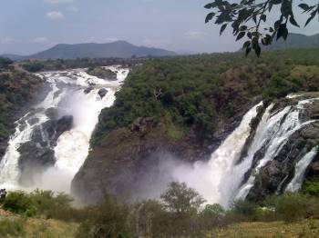 Bangalore - Mysore - Ooty - Kodaikanal 6N 7D Tour