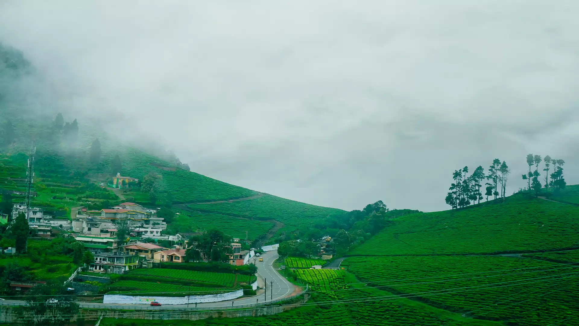 3 Day Trip from Bangalore | Ooty & Coonoor | Ooty