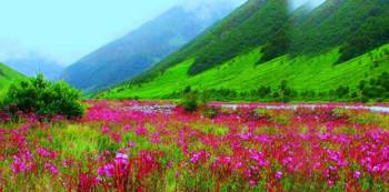 Valley Of Flowers Trek