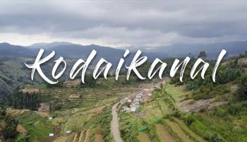 4N5D to Ooty, Kodaikkanal Tour