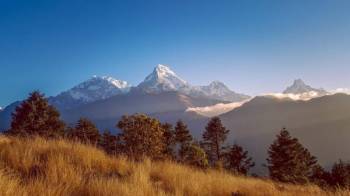 3 Night 4 Days Ghorepani Poonhill Trek from Pokhara