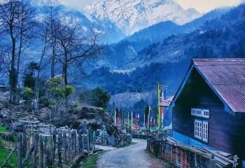 North Sikkim Tour Packages With Yumthang – 1 Night  2 Days