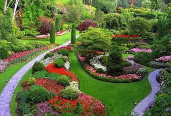 Ooty Tour 1 Day