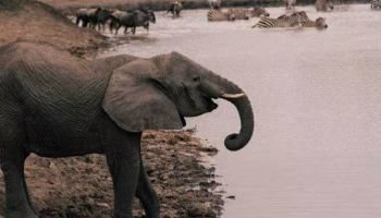2-Day Epic Safari Best Of Tarangire And Ngorongoro Tour
