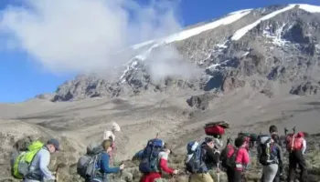 6 Days Kilimanjaro Trekking - Lemosho Route Tour