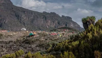 7 Days Kilimanjaro Trekking - Lemosho Route Tour
