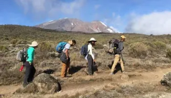 7 Days Kilimanjaro Umbwe Route Hiking Tour