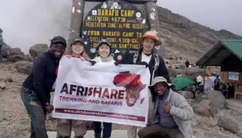 8 Days Kilimanjaro Lemosho Route Tour