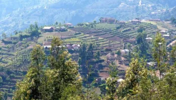 4 Days Usambara Mountain Cultural Tour - Walking