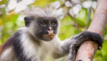 3 Days Zanzibar Beach Holiday Tour