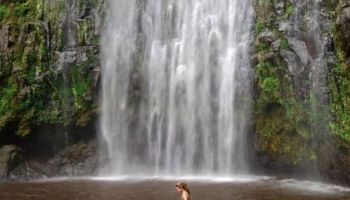 1 Day Cultural Tour - Waterfalls And Coffee Excursion