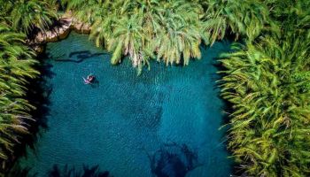Chemka - Kikuletwa Hot Spring Day Tour