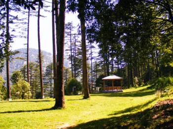 Dhanaulti Tour Package
