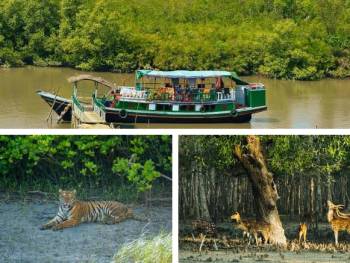 2Nights 3Days Adventure Sundarbon Tour Package