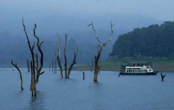 Kerala-God’s Own Country: 6 Days 5 Nights Package