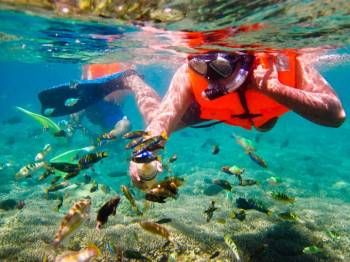 Day Trip Explore Gili Island And Snorkeling From Bali - Private