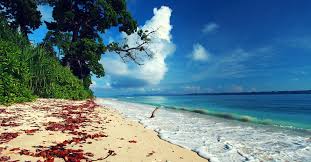 Andaman Islands tour package 4Nights 5 days
