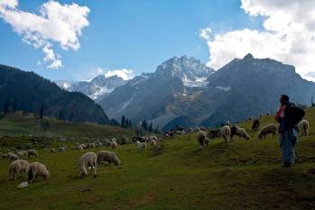 Ultimate Kashmir Tour Package  05 Nights - 06 Days