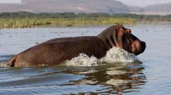 7 Days - 6 Nights Kenya Luxury Safari Tour