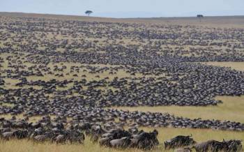 8 Days Kenya Exotic Safari Tour From Nairobi