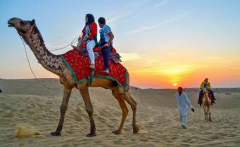 Camel Safari With SunSet View