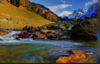 4 Nights 5 Days Kashmir Honeymoon Tour Package