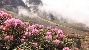 5 Days 4 Nights East - South Sikkim Tour