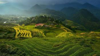5 Nights - 6 Days Gangtok - Darjeeling - Pelling Tour