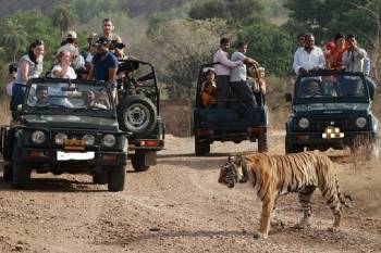 2 Days Ranthambore National Park Trip