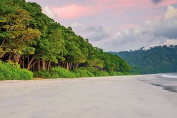 3 Night 4 Day Andaman Package