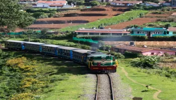 Ooty - Wayanad 5 Days Tour Package