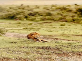 3 Days Budget Group Joining Safari Tour