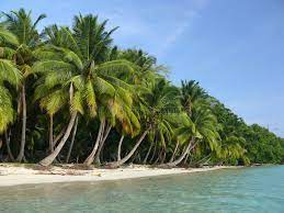 5 Days Port Blair - Havelock Tour