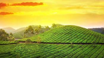 4 Nights 5 Days Kerala  Tour Package by Cab