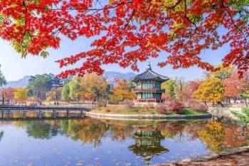 Amazing Korea 6N - 7D Package