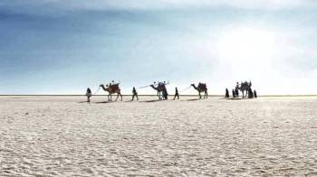 9 Nights and 10 days Exhilarating Kutch Tour Package