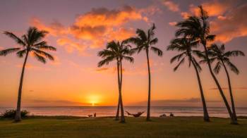 Exotic Honolulu - 5 Days Tour Package