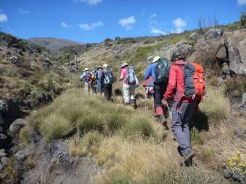 7 Days 6 Nights Camping Trekking ( Kilimanjaro Mountain) Through Lemosho Route