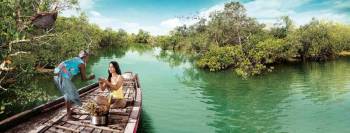 2 Nights 3 Days Sundarban Tiger Cruise Tour Image