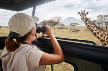 2 Nights 3 Days Safari Tarangire National Park, Ngorongoro Crater and Lake Manyara