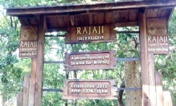 Corbett Rajaji wildlife safari Tour