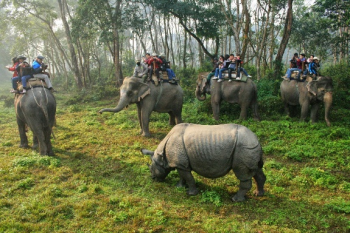 Glimpse of Nepal with Jungle Experience