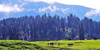 5 Nights 6Days Kashmir Trip