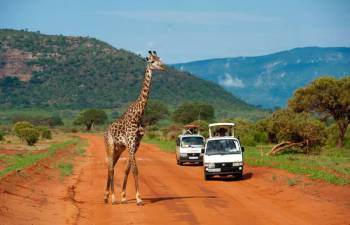 2 Days Tsavo East National Park Tour