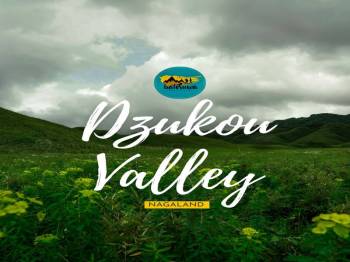 3 Nights 4 Days Guwahati to Dzukou Valley Tour Package