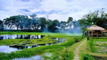 8Nights 9Days Kaziranga - Majuli - Meghalaya - Guwahati Tour