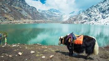 6N 7D Gangtok - Pelling - Darjeeling Tour